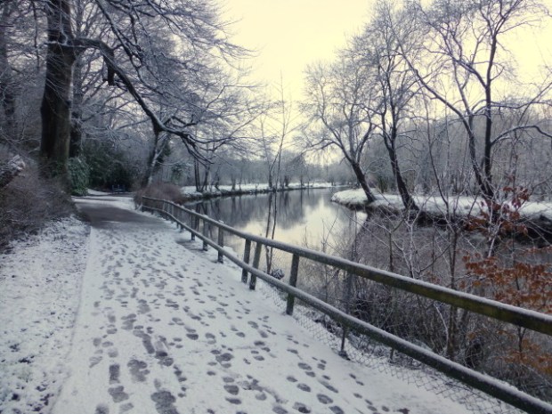 blog_snowyfootprintspath