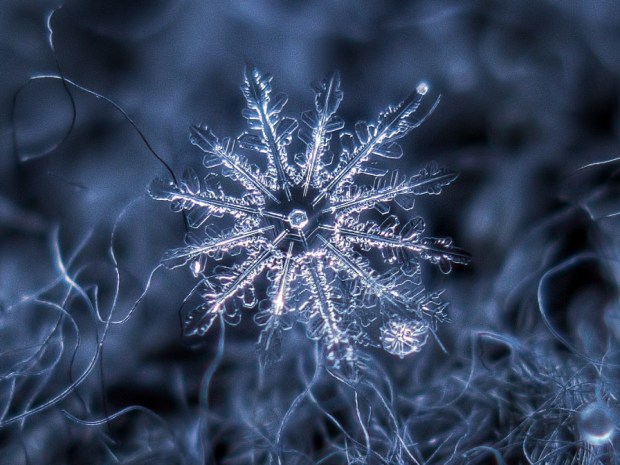 blog_snowflake