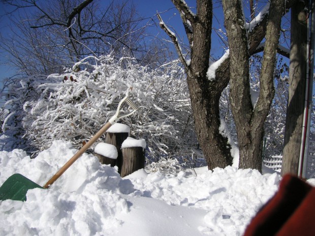 blog_snowshovel